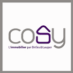 Cosy, l’immobilier par Birtles & Lauper