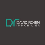 David Robin Immobilier