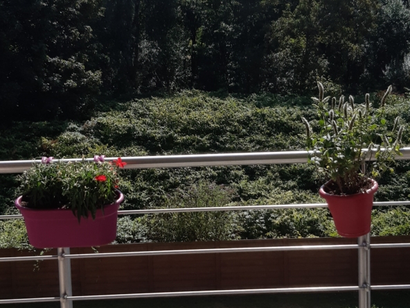 Appartement côté jardin 6