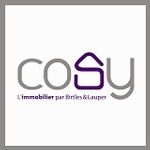 Cosy Immobilier
